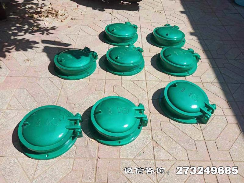 钟祥玻璃钢止水拍门