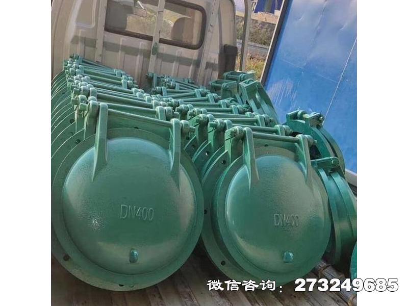 丽水污水管玻璃钢拍门