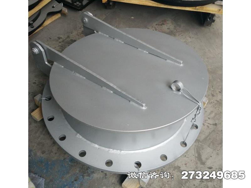 新兴316不锈钢拍门