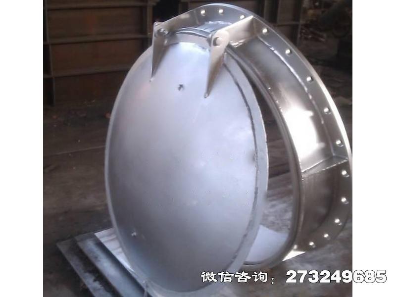 新兴800不锈钢拍门