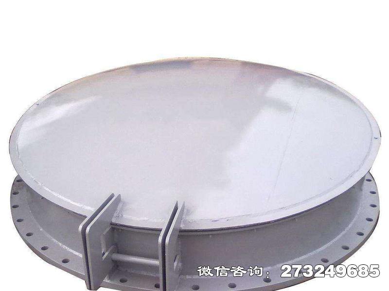 莲都铸铁钢制拍门