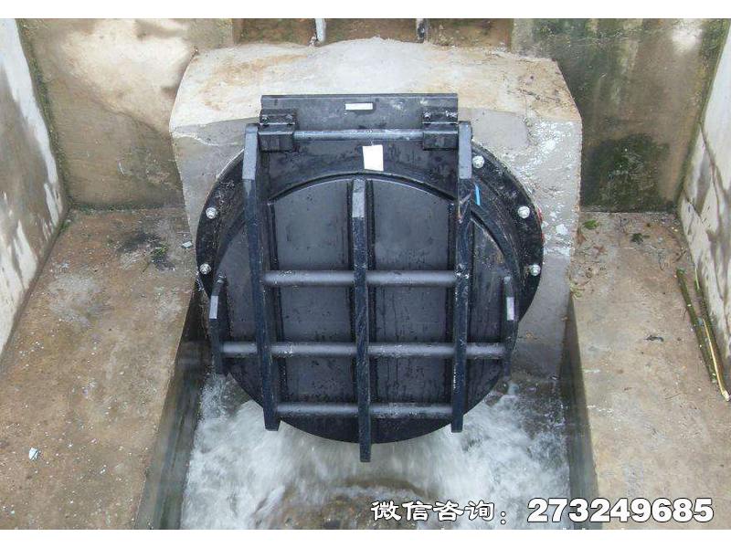 濉溪县钢制水渠拍门